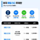 주식회사 스콜 | 태국 푸켓 여행, 링톡 eSIM 추천! 유심 이심 차이와 링톡 e심 사용법 확인. 10월 11월 날씨까지 한눈에