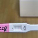 테라산부인과의원 | [임신 3주차] 버디와의 첫 만남, 임테기 더블링, 3주차 증상, 피검사 후기