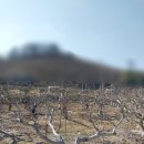 동읍농협봉강지점 이미지