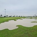 드래곤 골프 이미지