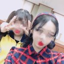 꿈꾸는 댕 | 요즘은 이게 재밌다고 그러더라고