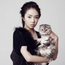 혜성란제리 이미지