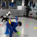 삼산 용인대박사 유도관 | 이경근 유도관 용인점 보물찾기 수업 후기