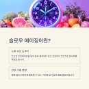 건강한 100세 시대, 누구나 행복한 웰에이징 관리법 | 슬로우 에이징 실천법: 스마트한 건강 관리를 위한 6대 포인트