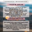 별자리심리 이미지