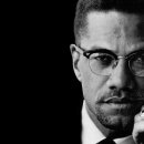 메종옵티크(Maison optique) 이미지