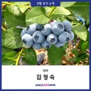 김정숙 농장 이미지