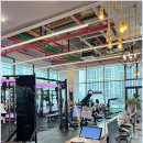 라임레이디 이미지