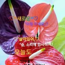 부광부동산공인중개사사무소 이미지