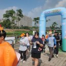 치킨 런 이미지