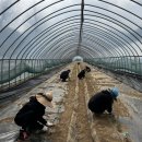 국토정중앙면사무소 이미지