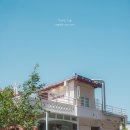 마이미마이
