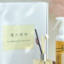 디아이티코리아 이미지