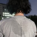 황동물병원 - 중구 퇴계로 254-1 | [대전 마운자로 성지] 정상체중이 맞아보는 마운자로 1-2주차 후기💉(마운자로 후유증)