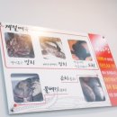 바다집 - 삼척시 임원항구로 6 | 바다집