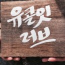 8코기네 애견펜션 이미지