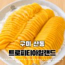 요거트아이스크림의정석구미산동점 | [구미 산동] 트로피티아일랜드 구미산동빙수 원탑! 생망고 아낌없이 썰어주는 구미카페