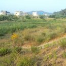 청북주유소 이미지