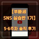 포텐PC | 영상 처음 만든 60대가 30만뷰를 찍었다 | 부빠세 SNS 실습반 멤버들의 성장 | 5·6주차 강의를 하면서