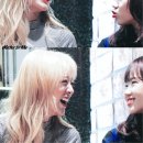 옐로우박스 이미지