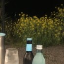 제주누리 이미지