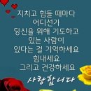 전번교환 이미지