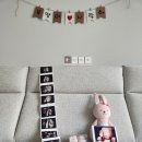 김혜정헤어라인 | 29주차 만삭사진 찍기