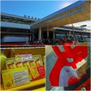 일본 후쿠오카 공항 면세점 위치 사케 바오바오 오니츠카타이거 쇼핑리스트 추천
