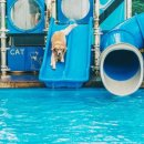 퍼니하우스 이미지