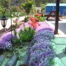 채석강민박 이미지