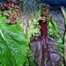 영육영농조합법인 이미지