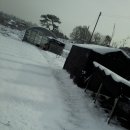 일광농장 이미지