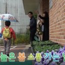 올망유치원 이미지