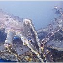 대포포구1 이미지