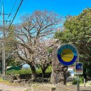 회수동-6 이미지