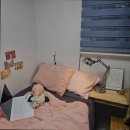 리브가 스테이 이미지