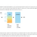 (주)올메디쿠스 이미지