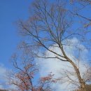 용산-이촌-1458 | 수종사를 다녀오고 운길산장에서 우렁쌈밥과 순부두찌개 먹다.