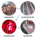 이 날만을 기다린 꿀 고구마 내 입맛을 사로잡은 후기!🍠