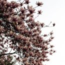 관문체육공원 이미지