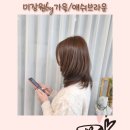쭌헤어샵