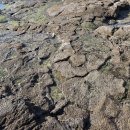 투어지오 이미지