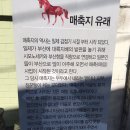 육교이용원 이미지