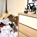 미우통상주 | [뉴욕 여행] 뉴욕 쇼핑리스트 / 센추리21 / 디즈니 스토어 / FAO Schwarz / 세포라 + 우드버리 셔틀...