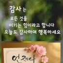 집안일~ 이미지