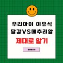 대한메추리 네이버블로그