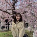 토모헤어 이미지