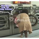 크린크린코인셀프빨래방