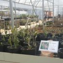 파주시산림조합 이미지