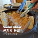 웅골 이미지